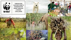 WWF
