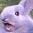 [+duracell-] profile pic