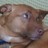 miss willow profile pic