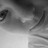 bunkingum profile pic