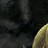 Reliquum profile pic