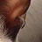 kareina profile pic