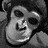 Isquaronai profile pic