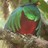 elysian.fields profile pic