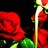 Sub-Rosa profile pic