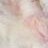 OdeToPie profile pic