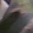 jirdi profile pic