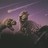 greg1264 profile pic