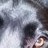 char8425 profile pic