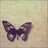 SilentSymphony profile pic
