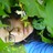 trite and cheap profile pic