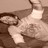 FmsR3d profile pic