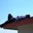 Feryl profile pic