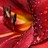 Calphurnia profile pic
