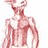 Lahar profile pic