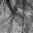 abhorsen. profile pic