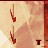 T_T profile pic