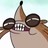 vannapwnsall profile pic