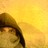 tser profile pic