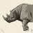 SeaBoundRhino profile pic