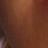 burnard profile pic