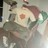 Shark_biscuit profile pic