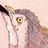 lourencodesign profile pic