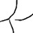 tagliatella profile pic