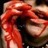 alexz. profile pic