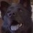 beanshead profile pic