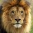 mysticlion profile pic