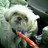 Toto117 profile pic