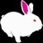 White Rabbit Designs profile pic