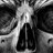 carlosaroche profile pic
