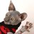 MCS4096 profile pic