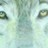 forgotten profile pic