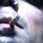 Leffe Goldstein profile pic