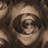 heather.dalton profile pic