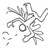 horngchief profile pic