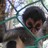 dbkliveson profile pic