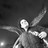 gladwise profile pic