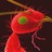 braxel profile pic