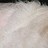 little.m.effer profile pic