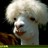 tengo_hambre profile pic