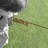thesmokeofyouth profile pic