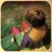 Lucia Perenna profile pic