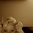 smash_B profile pic