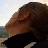 alic3 profile pic