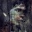 GnomJordy profile pic
