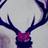 velaluna profile pic